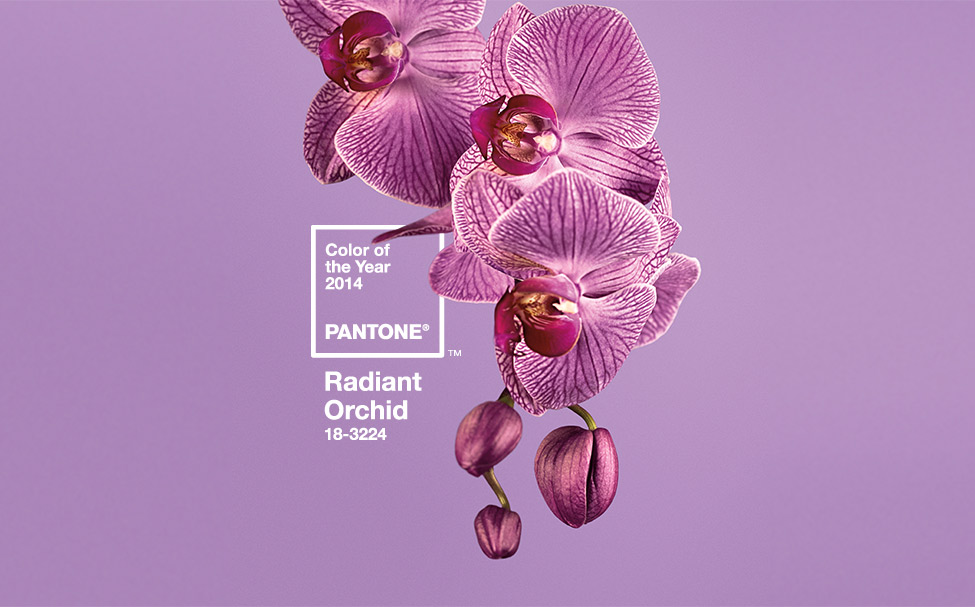 Radiant Orchid - pantone colour of the year
